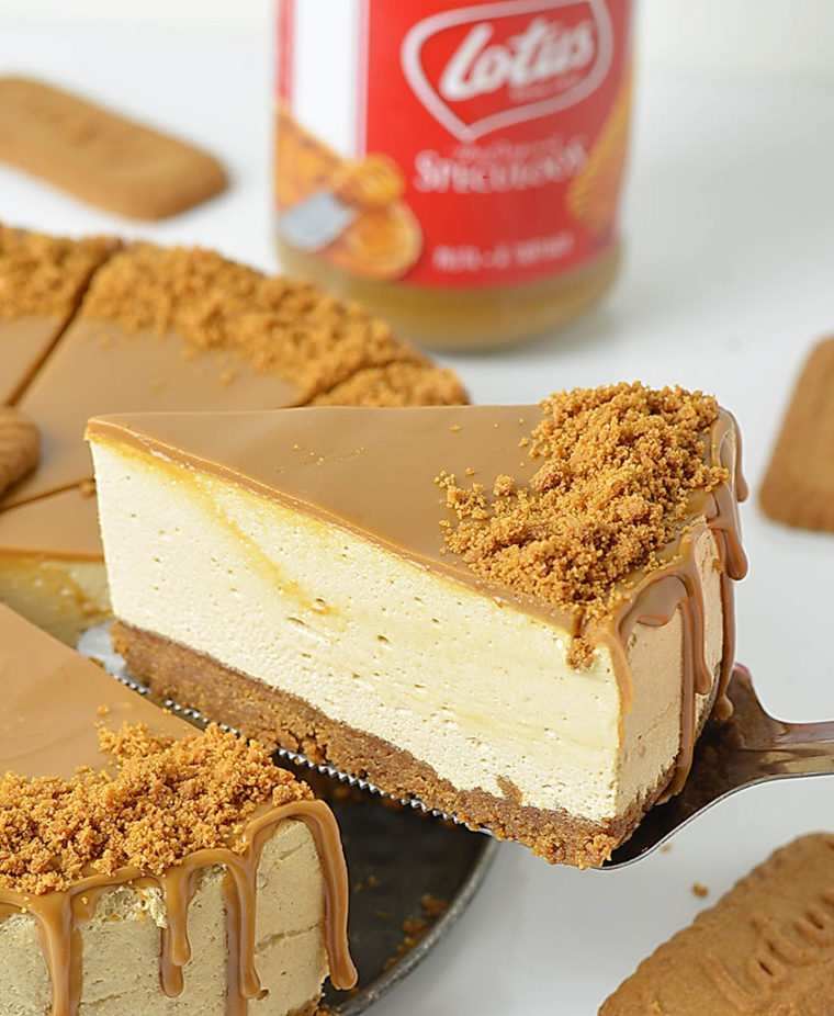 No Bake Lotus Biscoff Cheesecake Lidia's Cookbook