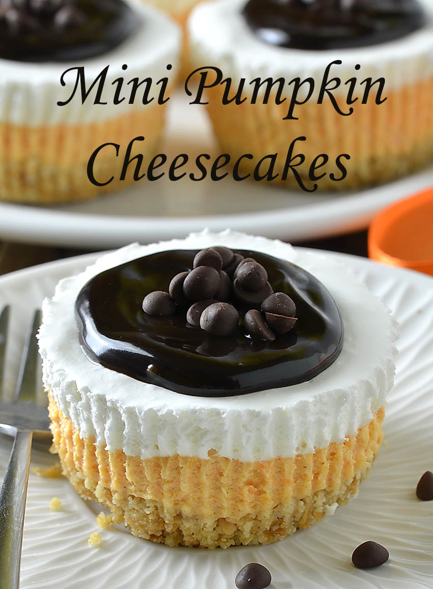 Mini Pumpkin Cheesecakes - Lidia's Cookbook