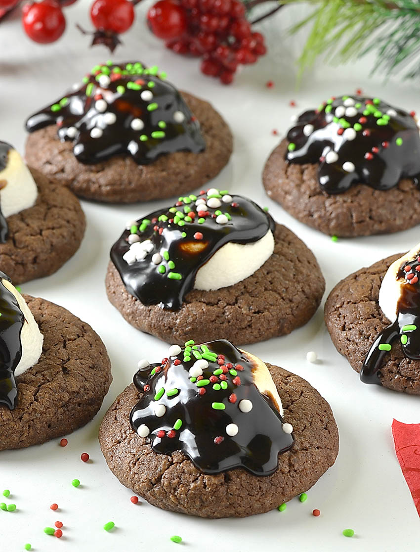 Hot Chocolate Christmas Cookies - Lidia's Cookbook